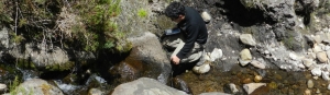 Medición de Parámetros Físico-Químicos en aguas termales en el volcán Cayambe