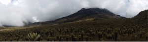 Medidas de parámetros físico-químicos de las fuentes termales (complejo volcánico Chiles y Cerro Negro)