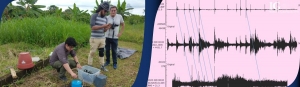 ¿Qué se esconde detrás de los reportes de ruidos y vibraciones en las provincias sur occidentales de la Costa Ecuatoriana?