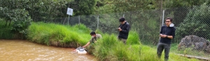 Medición de parámetros físico-químicos y muestreo de agua en las vertientes de las localidades de Tangalí, Peguche y San José (provincia de Imbabura)